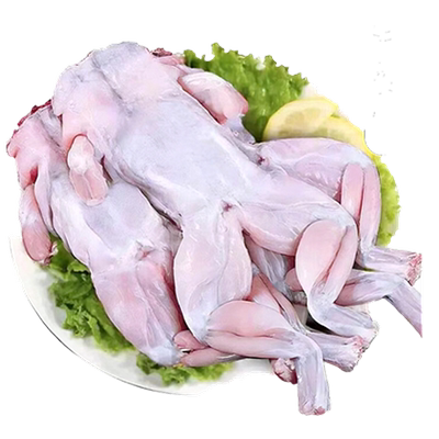 新鲜牛蛙现杀鲜活牛蛙净重无冰衣