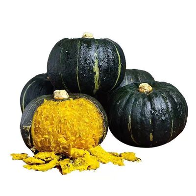 正宗真贝贝南瓜板栗味小南瓜粉糯婴儿辅食小窝瓜新鲜南瓜包邮