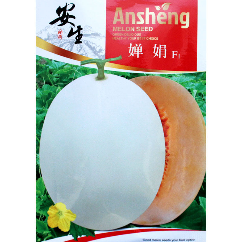 婵娟甜瓜种子流星雨瓜超甜白皮