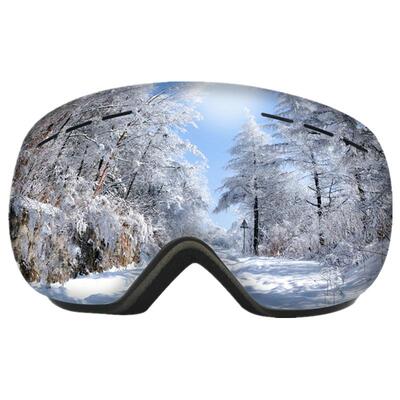 滑雪镜成人防护镜雪地防雪盲防风