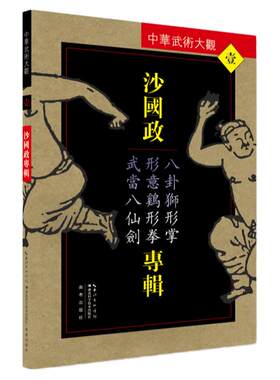 沙国政专辑：八卦狮形掌、形意鸡形拳、武当八仙剑——中华武术大观