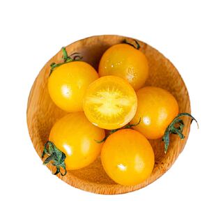 迷恋圣女果黄色小番茄新鲜水果现摘现发酸甜爆汁新鲜