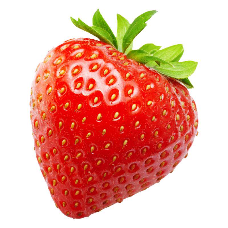 方震奶油草莓种子四季播种阳台盆栽水果蔬菜种籽子