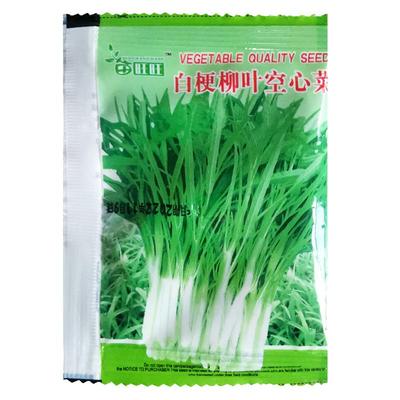 空心菜种子白梗柳叶空心菜青菜籽