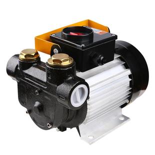 电动抽油泵12V24V220伏通用大流量直流柴油吸油神器加油机加油泵