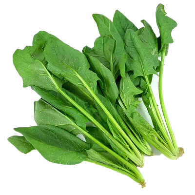 新鲜蔬菜菠菜500g炒菜食材