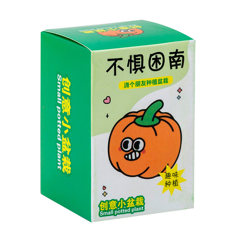 植物盆栽小学生六一礼物奖品礼品