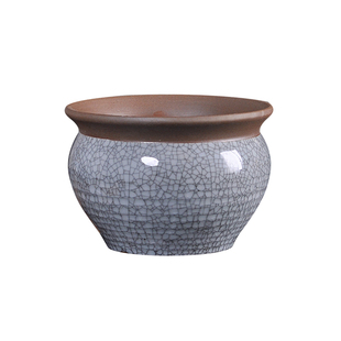 哥窑多肉透气花盆带托盘简约绿植文竹菩提小叶九里香小榕树微景观