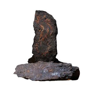 杨直二正宗阿拉善肉苁蓉片100g锁阳内蒙古中药材泡酒煮正品阿拉善