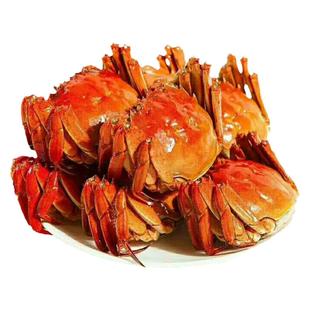 产地直供新鲜大闸蟹新鲜兴化大闸蟹4两公2.5两母买5公5母礼盒装