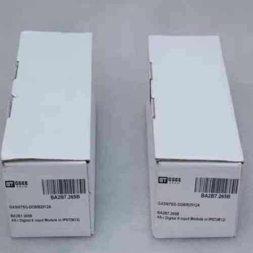 议价全新GSEE TECH吉诺模块GASI67SG-DO8/B2