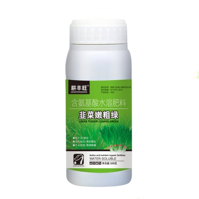 韭菜粗壮绿防干尖黄叶