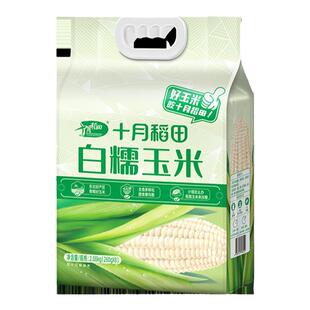 十月稻田黄金糯玉米段白糯生玉米黑糯香甜糯东北粘苞米真空装蒸煮