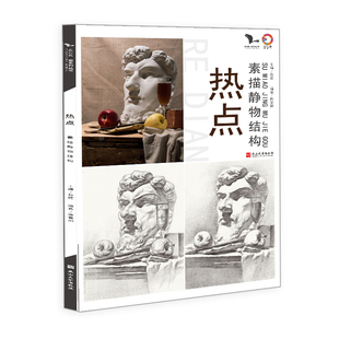 热点素描静物结构体系顶单体组合石膏几何体临摹范本素材美术写生画册本零基础中考初学入门照片图片高考联考教程书国美教学教材书