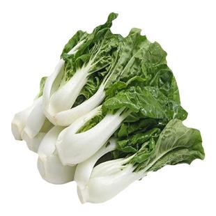 香港蔡兴利种子555特选矮脚黑叶葵扇白菜种黑叶白菜种籽蔬菜种孑