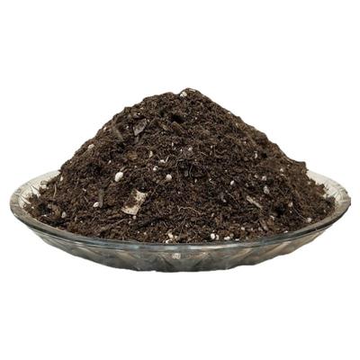 凤凰木树苗营养椰砖土家用室内盆栽地栽大树红花楹专用育苗种植土