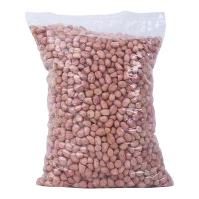 2025年新花生米生的白沙花生仁