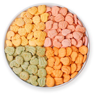 DHA桑葚饼干儿童宝宝无添加糖盐健康营养不3上火1一2岁零食罐装