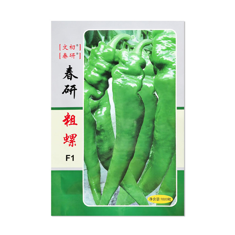 春研粗螺辣椒种子螺丝椒