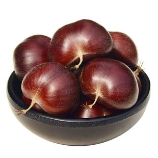 【年货】2025年迁西新鲜板栗生板栗生新鲜河北燕山野生毛栗子老树