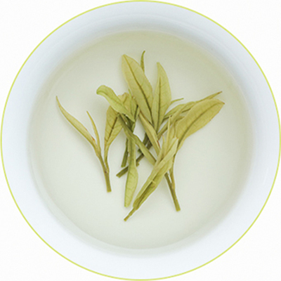 安吉25年新茶白茶特级250g自己喝