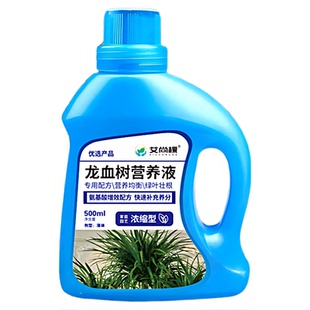 龙血树专用营养液治叶子发黄干尖药黑斑烂根茎腐病龙须树专用肥料