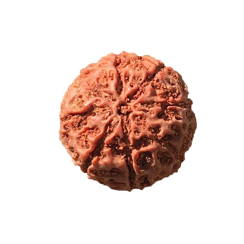 大金刚满肉文玩手串菩提