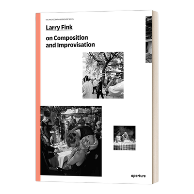 英文原版 Larry Fink on Composition and Improvisation 拉里芬克论摄影的组合与即兴 英文版 进口英语原版书籍
