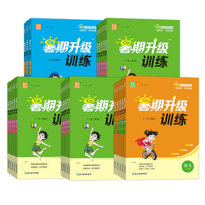 2026暑期升级训练小学