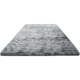 小地毯客厅毯子垫地卧室满铺网红同款少女ins风衣帽间毛绒床边毯