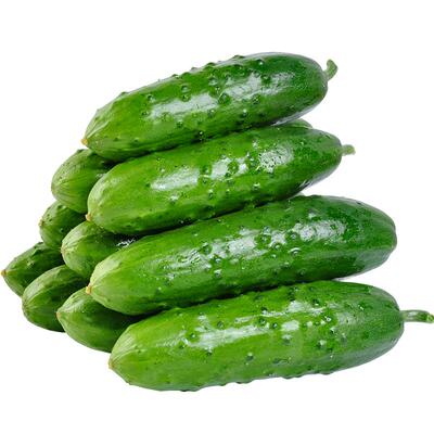 美邻惠享家水果黄瓜大刺黄瓜