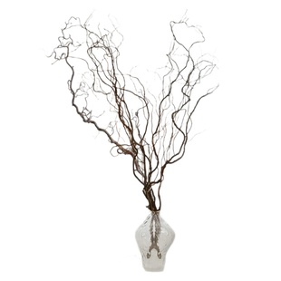 龙柳枝条树枝树干装饰室内高级感侘寂风天然真干花摆件插花干鲜枝