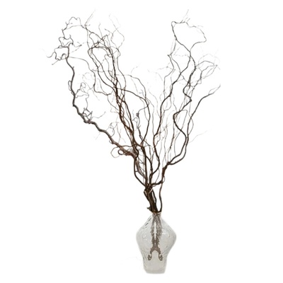 龙柳枝条高级侘寂风树枝树干装饰
