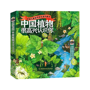 【正版速发】中国植物很高兴认识你全4册 儿童自然百科通识绘本5-12岁小学生科普启蒙 春夏秋冬图鉴 地理乡土动物生物知识认知书籍