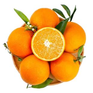 新鲜夏橙当季新鲜橙子脐橙水果当季手剥夏橙薄皮橙子整箱包邮榨汁