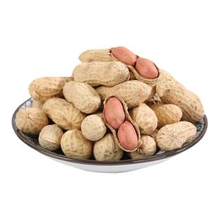 远望山东大花生盐水咸干带壳休闲晒干五香炒货坚果农家零食品特产