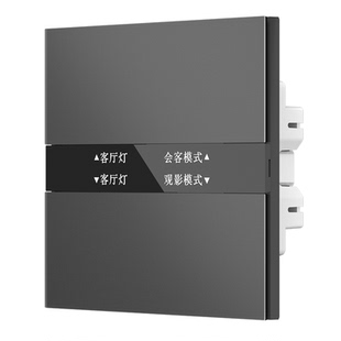 苏米智能屏显开关H2 已接入米家app名称自定义免刻字PC材质AG玻璃