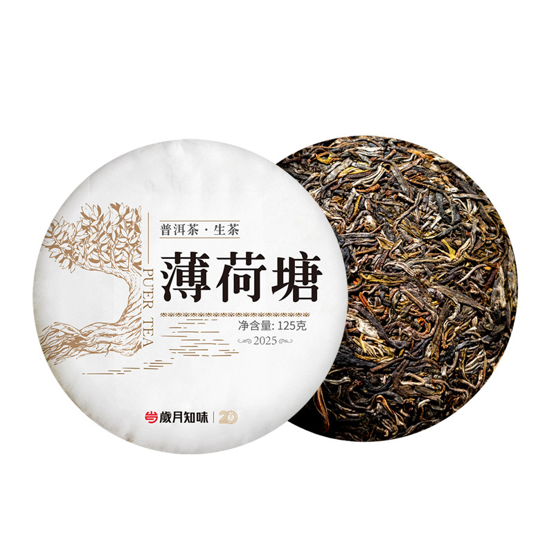 岁月知味2025易武薄荷塘普洱生茶