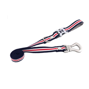 英国Hugo&Hudson狗狗牵引绳遛狗带法斗大狗金毛泰迪不勒手大型犬