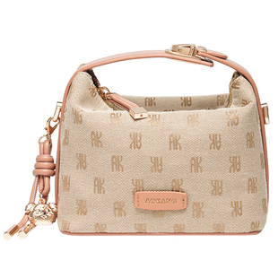 奥康手拎包2025新款帆布包包2026单肩包大容量斜挎包迷你手提小包