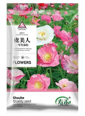 虞美人花种子冰岛重瓣红色