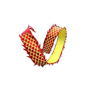 广场舞龙彩带健身龙带甩耍龙中老年成人运动道具初学彩绸彩条龙头