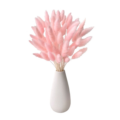 兔尾草干花花束装饰摆件