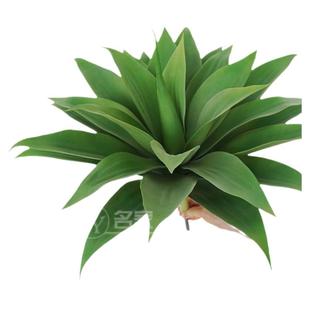 仿真龙舌兰芦荟虎皮兰大号多肉绿植菠萝花皇冠兰剑兰剑麻仿真花