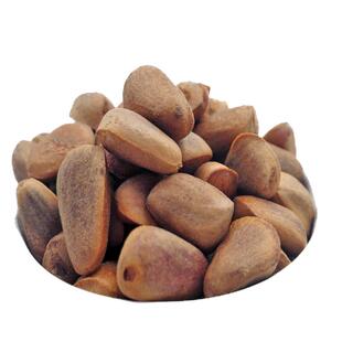 新鲜生松子未加工不开口红松新货东北松树种子鸟食鼠粮原味包邮