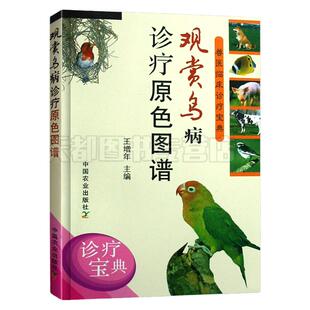 正版 观赏鸟病诊疗原色图谱 笼养鸟驯养技法与疾病防治观赏鸟养殖书籍笼养鸟养殖笼养鸟疾病诊断与防治技术大全书籍笼养鸟饲养书籍