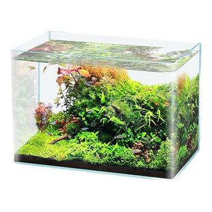 鱼缸玻璃金晶超白小型桌面水族箱生态小鱼缸水草家用客厅鱼缸热弯