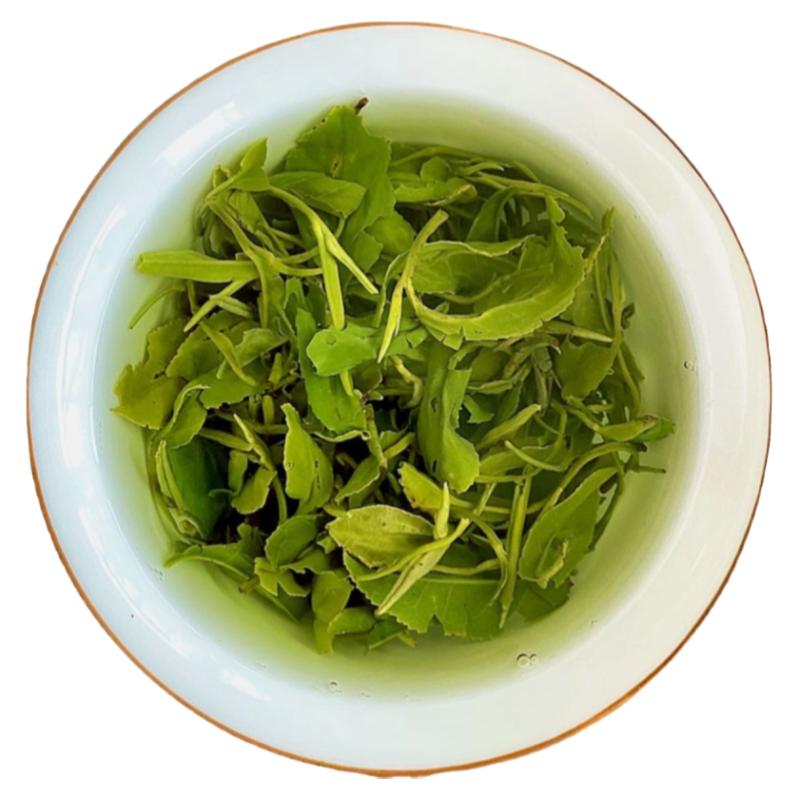 日照本地茶厂绿茶绿茶散装批发