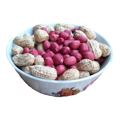 新货两粒四川红皮花生米农家新鲜