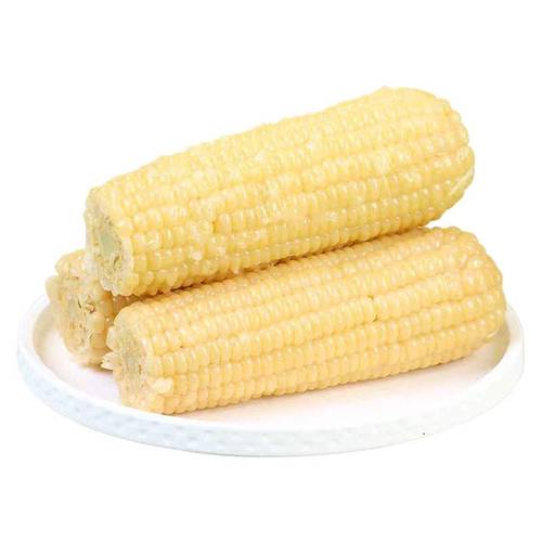 东北白糯玉米甜糯粘玉米真空装非转基因黏苞米粗粮代餐
